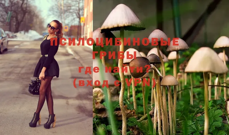 Галлюциногенные грибы MAGIC MUSHROOMS  Лобня 